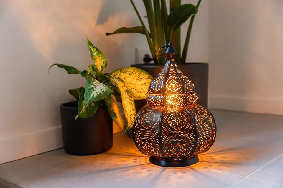 Orientalische Laterne mit warmem Licht neben Pflanzen im Studio